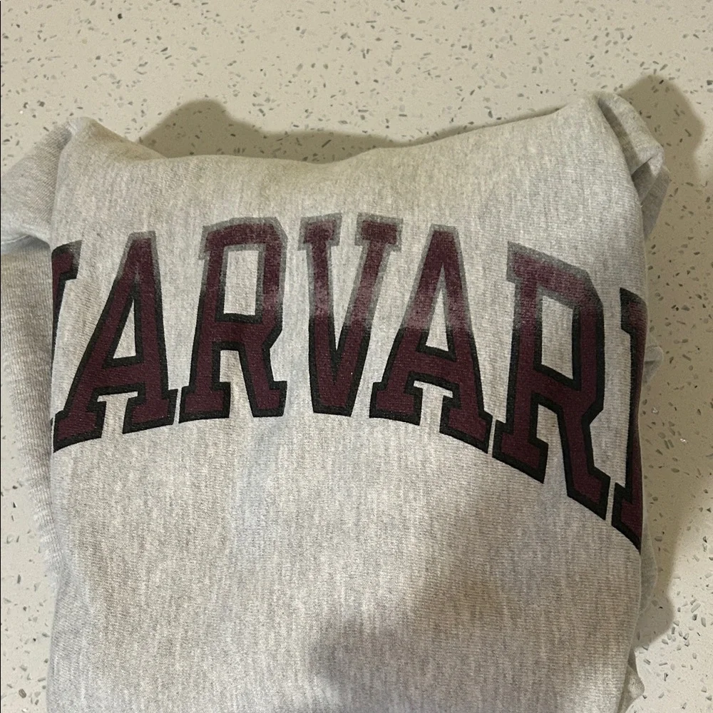 Champion Gray Harvard Hoodie - Picture 3 of 3